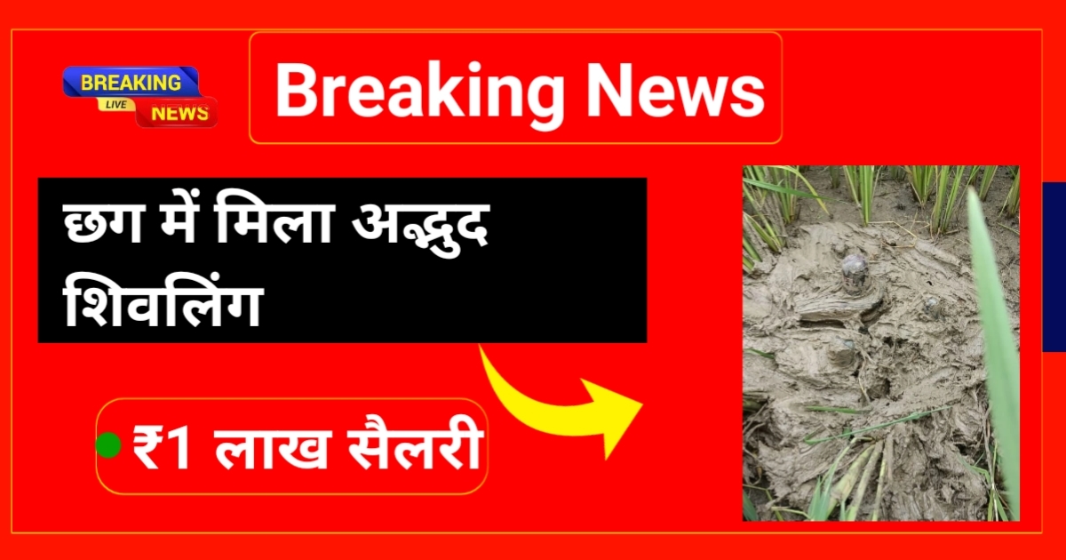 छत्तीसगढ़ में मिला अद्भुद शिवलिंग, सूरजपुर जिला बना आस्था का केंद्र